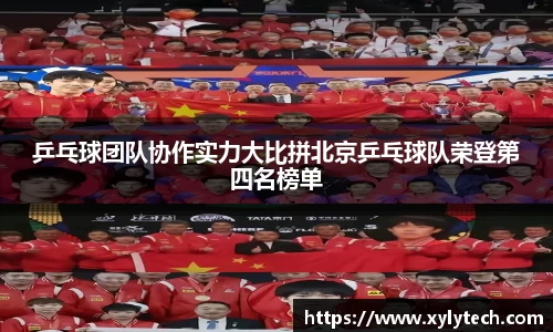 VSport胜利因您更精彩