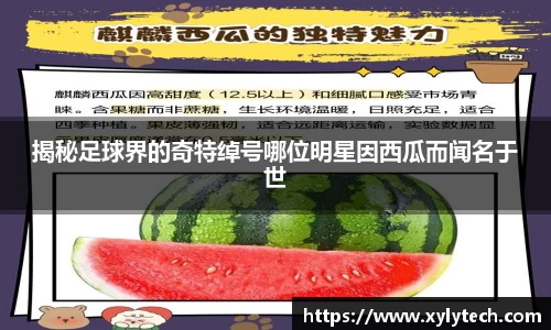 VSport胜利因您更精彩